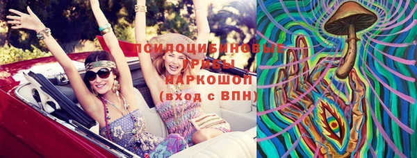 молекула духа Алексин