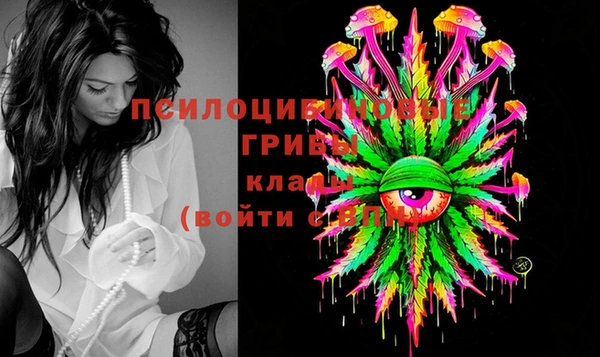 соль ск Алексеевка