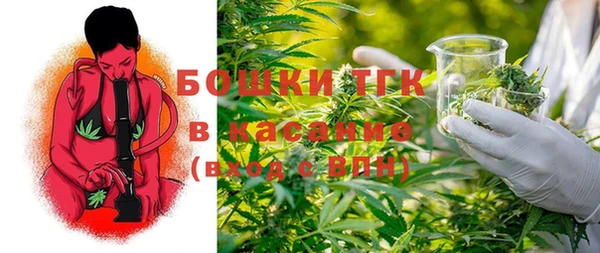 молекула духа Алексин