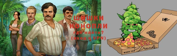 соль ск Алексеевка